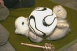 knut.jpg